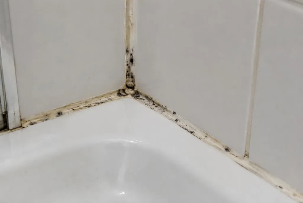 Kitbedrijf Tiel – beschimmelde kitranden